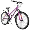 PROGRESS / Bicycle "Ingrid Pro" size 17