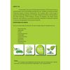 Coal Additive GS-300