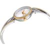 DKNY / Chain Game NY2790 watch