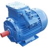 Low-voltage electric motor VA132M2