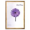 Frame premium 50x70 cm, plastic, baguette 33 mm, "Dorothy", gold