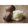 Shea butter