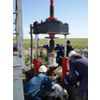 Wellhead lifting device with a lifting capacity of 500 kN