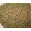 Cumin (cumin)
