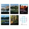 Альт / Notebook A5 48 l. bracket, cage, glossy varnish, "Nature" / 10 pcs.