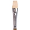 Brush art is a professional ART BRAUBERG CLASSIC, bristle, flat No. 14, long handle