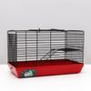 Пижон / Dude / Mini cage for rodents No. 2-1, without filling, 27 x 15 x 16 cm, raspberry