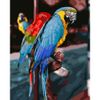 Опт-картина / Painting by numbers 40x50 Parrots