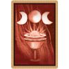 GamesDealer / Tarot Cards: "Sacred Mothers and Goddesses Oracle"