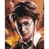 Опт-картина / Sơn theo số CAKADU 40x50 Harry Potter