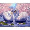 ВанГогВоМне / VanGogVoMne / Paint by number "Swans among the lotus" 40x50 cm