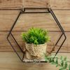 Kaemingk / Artificial plant in flowerpots Cyperus 12 cm