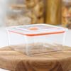 Доляна / Doliana / High-five container, 1.2 l, with lid