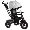 Bicycle "Micio Comfort Plus"