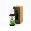 Essential oil of Siberian fir, gift set aromalamps