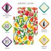BRAUBERG / Notebooks 60 l. checkered cover SoftTouch, SET 2 pcs., beige paper 70 g / m2, stitching, B5 (179x250 mm), FRUIT