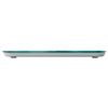 ECON / Floor scales ECO-BS004, electronic, weight up to 180 kg, thermometer, square, glass, with a picture