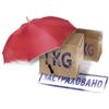 Shark Cargo Insurance