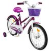 GRAFFITI / Bicycle "Flower"