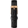Daniel Wellington / Montres Petite DW00100229