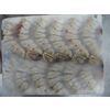 Black Tiger Shrimp (Penaeus monodon)