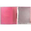 Folder for portfolio student, 2 rings, 20 files, plastic, translucent, red, BRAUBERG
