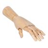 Calligrata / Wooden figure "Anatomical details: Left male arm", 31 cm
