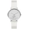 Skagen / Montres Aaren SKW2763