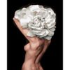 Опт-картина / Pittura con numeri 40x50 Ragazza e peonia bianca