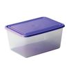 IDEA / Container with a lid sealed universal - storage and microwave, 10x15x25 cm, 2 l