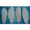 Pangasius Well-trimmed Fillet