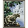 Опт-картина / Khảm kim cương 40x50, thạch tròn Du hành hổ