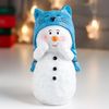 Сималенд / Souvenir "Snowman in a hat-cat, enthusiastic"