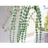 Kurts Adler / Decorative branch "Coniferous balls", 92 cm