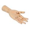 Calligrata / Wooden figure "Anatomical details: Left male arm", 31 cm