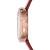 Emporio Armani / Watches Rosa AR11357