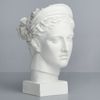 Мастерская Экорше / Plaster figure "Diana's Head"