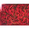 Fresh chili
