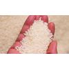 Specialty rice in Soc Trang