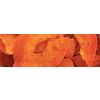 Papaya Chip