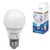 SONNEN / Lâmpada LED 10 (85) W, base E27, em forma de pêra, luz branca fria, LED A60-10W-4000-E27