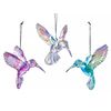 Kurts Adler / Rainbow, 10 cm