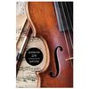 BRAUBERG / Diary for a music school 48 y., Hard, selective varnish, reference material, Symphony / 10 pcs.