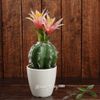 Kaemingk / Artificial potted plant Cactus Rebucia Pink 24 cm