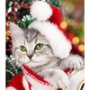 Рыжий кот / Diamond mosaic "New Year's kitten"