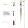 Brush art is a professional ART BRAUBERG "CLASSIC", the bristle brush, flat, No. 26, long handle