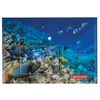 Thư mục phong bì có nút BRAUBERG "SEA WORLD", khổ A4, 160 micron, tối đa 100 tờ, in màu