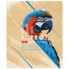 HATBER / Notebook А5, 80 sh., Staple, cage, selective varnish, "Birds" / 14 pcs.