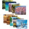 DEFENDER / Silk Pad Nature Mouse Pad, Silk + Natural Rubber, 230x190x1.6mm, 10 Types
