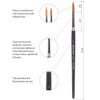Brush art is a professional ART BRAUBERG "CLASSIC", soft synthetics, under the columns, round, number 7, short handle